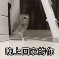 01慢溜.gif