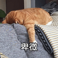 02.gif